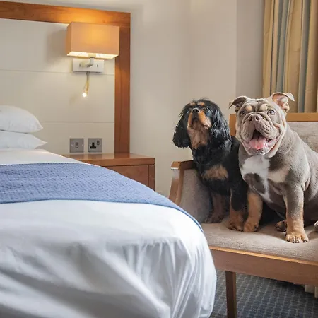 The Riverside Hotel 3*