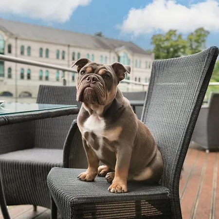 Hotel The Riverside Kendal