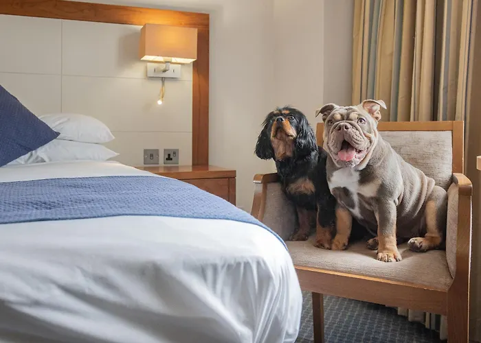 The Riverside Hotel 3*