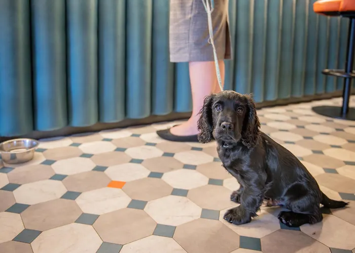 Hotel The Riverside 3*