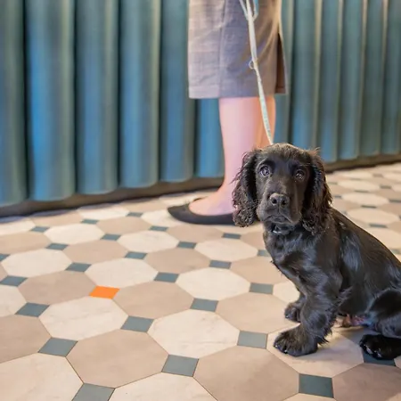 호텔 The Riverside 3*