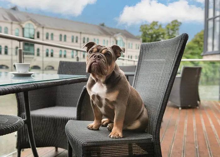 فندق ذا ريفرسايد كندال